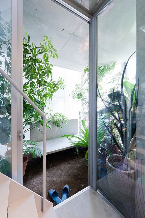 Căn nhà ống ở Nhật đẹp tinh tế thiết kế xanh mướt